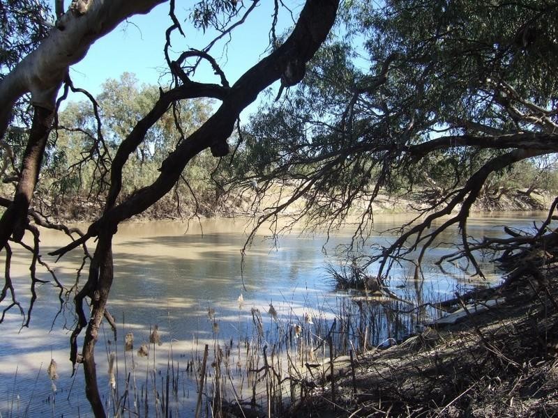 “Box Flat” Irrigation Road, Menindee NSW 2879