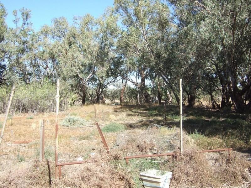 “Box Flat” Irrigation Road, Menindee NSW 2879