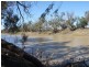 “Box Flat” Irrigation Road, Menindee NSW 2879