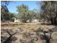 “Box Flat” Irrigation Road, Menindee NSW 2879