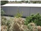 42 Cobalt Street, Broken Hill NSW 2880