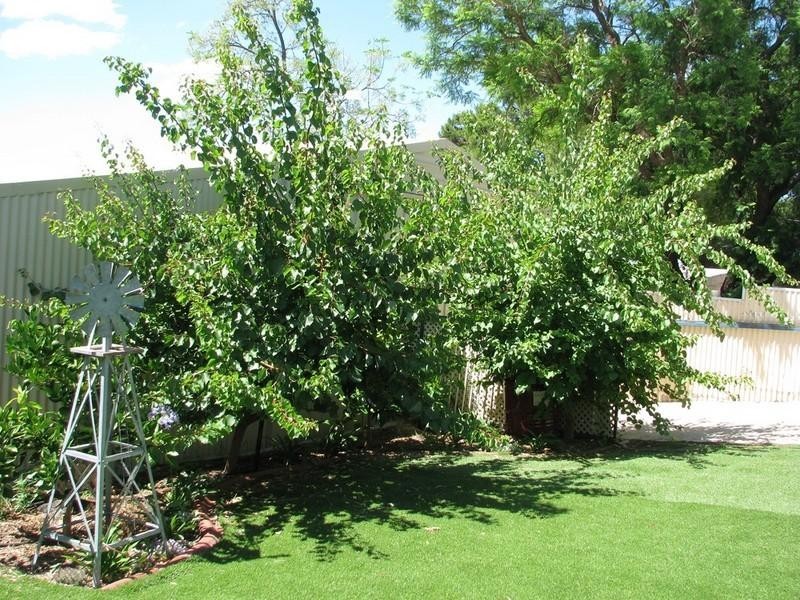 404 Cummins Street, Broken Hill NSW 2880