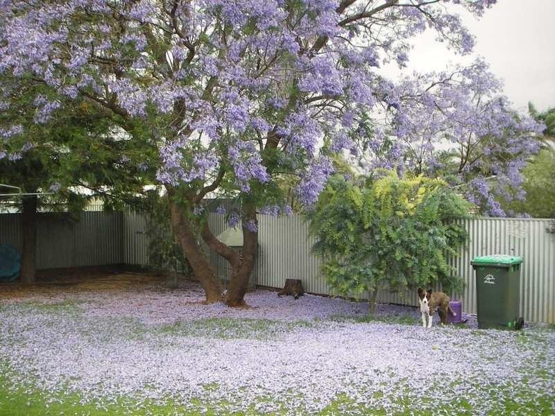 114 Brown Street, Broken Hill NSW 2880