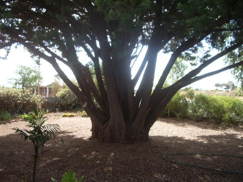 724 Williams Street, Broken Hill NSW 2880