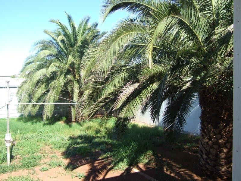 175 Nicholls Street, Broken Hill NSW 2880