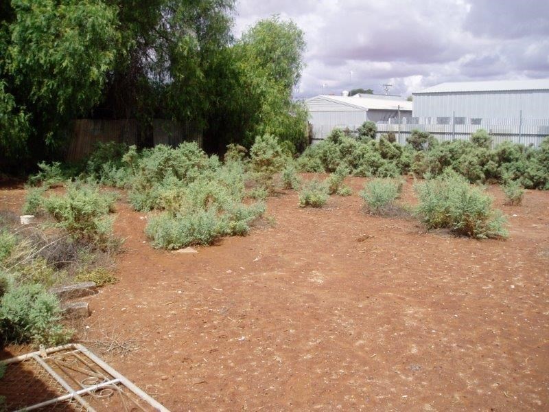 329 Thomas Street, Broken Hill NSW 2880