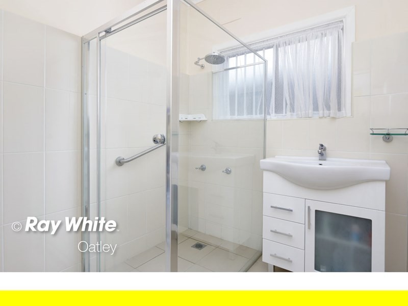 58 Rosemont Street, Punchbowl NSW 2196