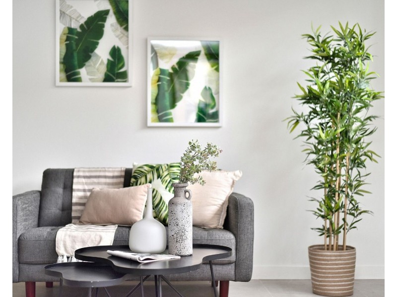 2/45 Waratah Street, Oatley NSW 2223