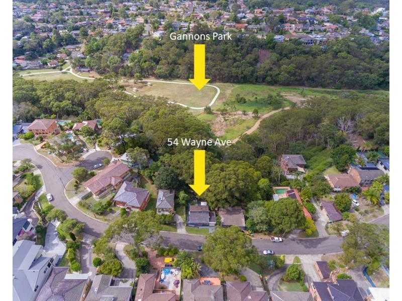 54 Wayne Avenue, Lugarno NSW 2210