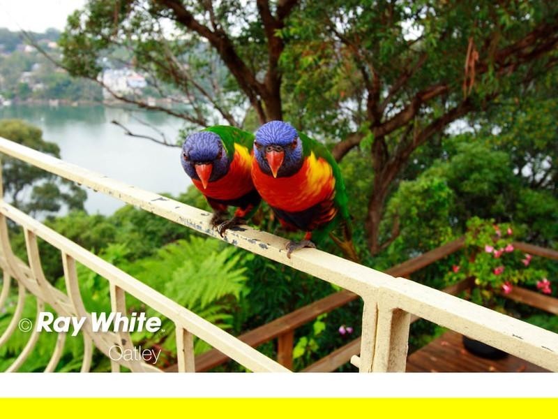 72 Algernon Street, Oatley NSW 2223