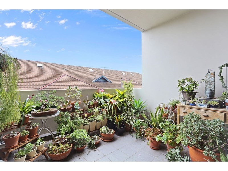 41/553 New Canterbury Road, Dulwich Hill NSW 2203