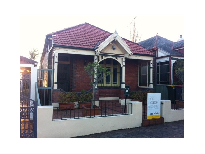 3 South Street, Marrickville NSW 2204