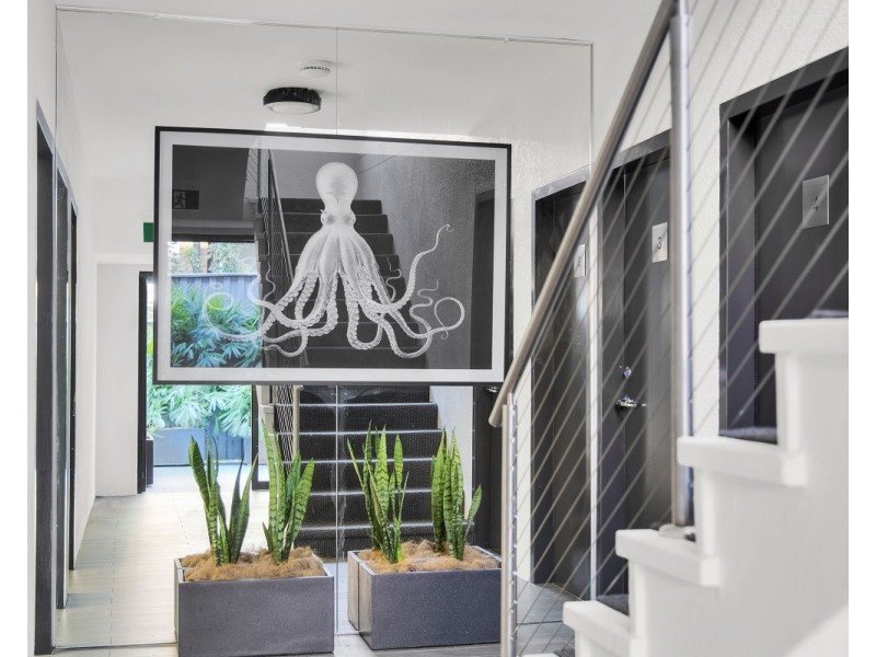 2/14 Keith Street, Dulwich Hill NSW 2203
