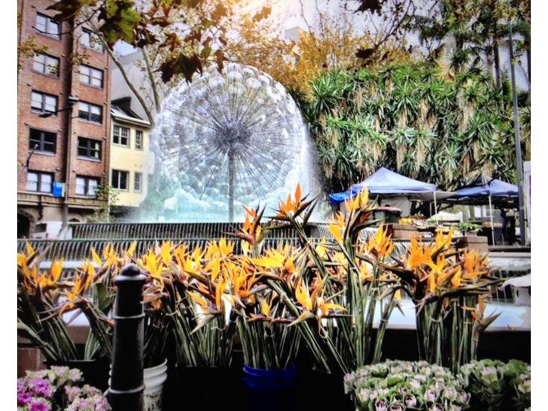 9/129-131 Bayswater Road, Potts Point NSW 2011