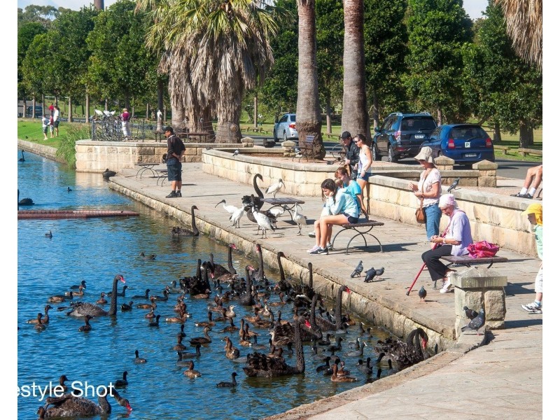 7/233 Alison Road, Randwick NSW 2031