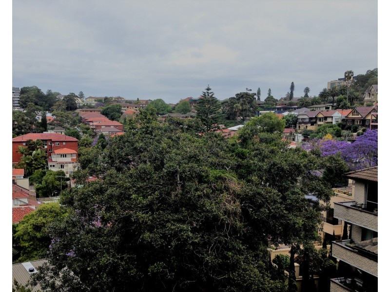 8/233 Alison Road, Randwick NSW 2031