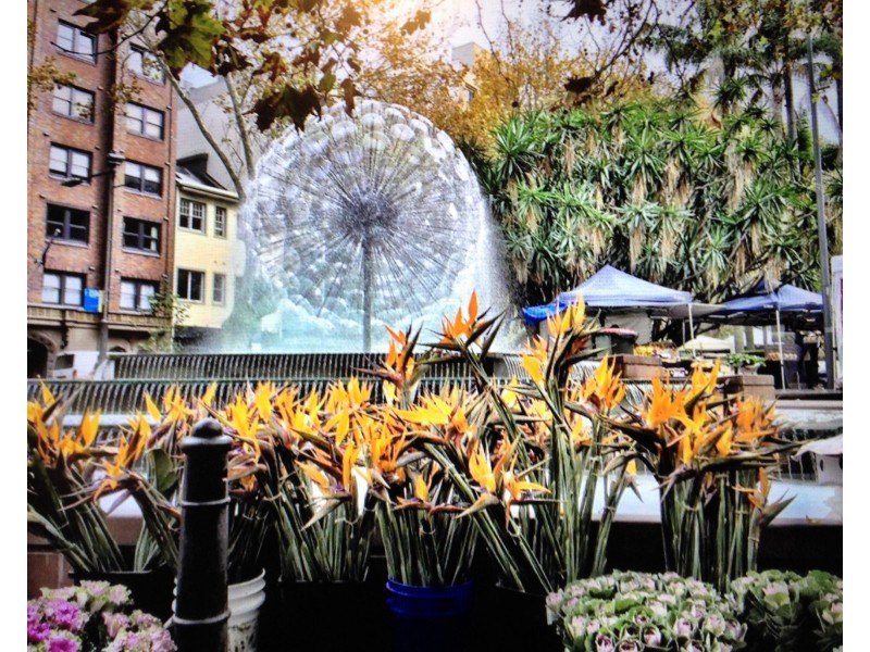 131 Bayswater Road, Rushcutters Bay NSW 2011