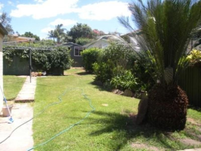 44 Dunstaffenage Street, Hurlstone Park NSW 2193