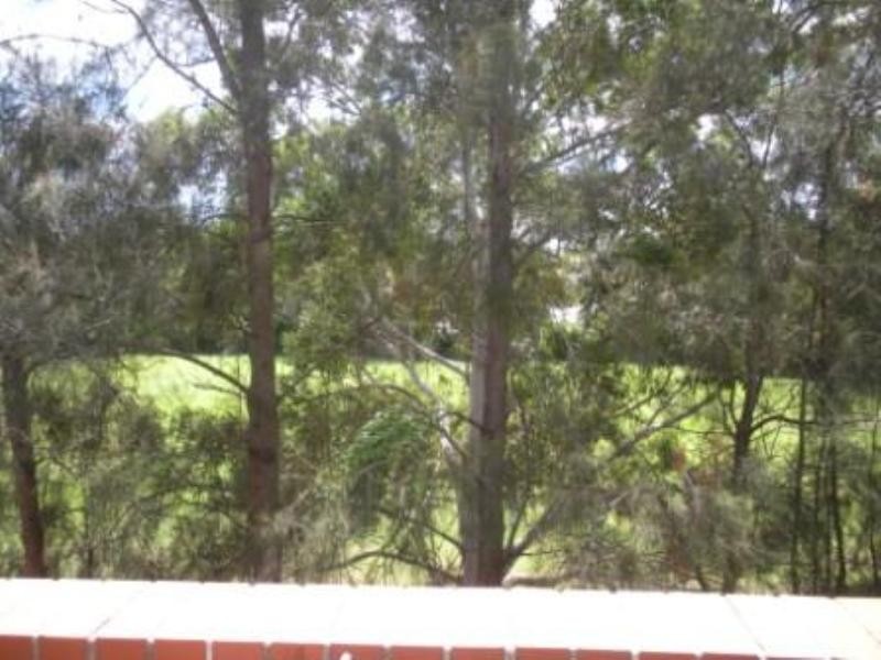 14/480 King, Newtown NSW 2042