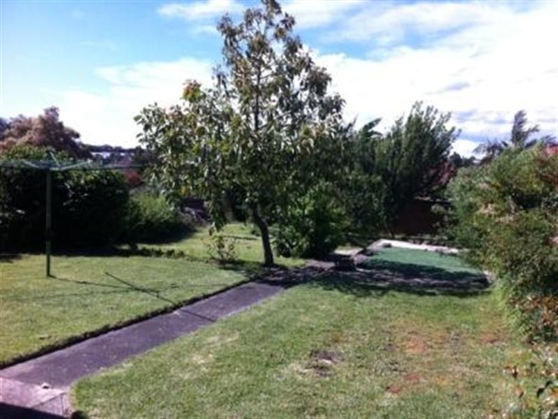 15 Burlington Avenue, Earlwood NSW 2206