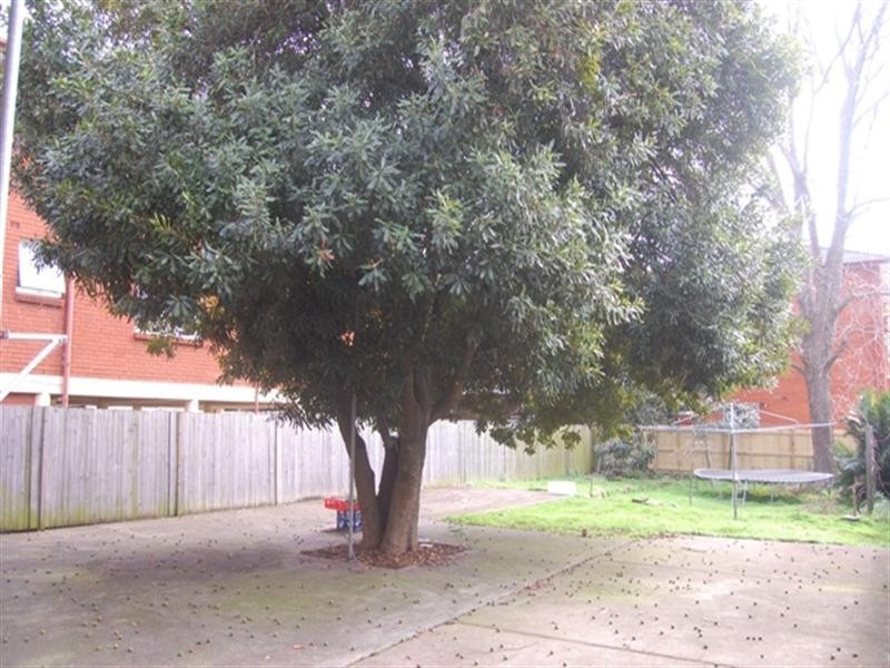 20 George Street, Marrickville NSW 2204