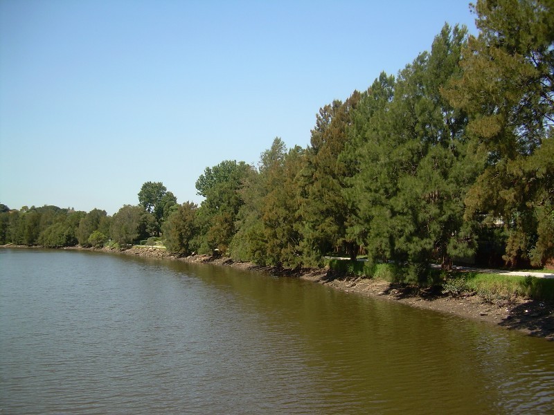 515 Illawarra Road, Marrickville NSW 2204