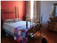 417 New Canterbury Road, Dulwich Hill NSW 2203