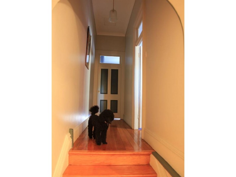 417 New Canterbury Road, Dulwich Hill NSW 2203