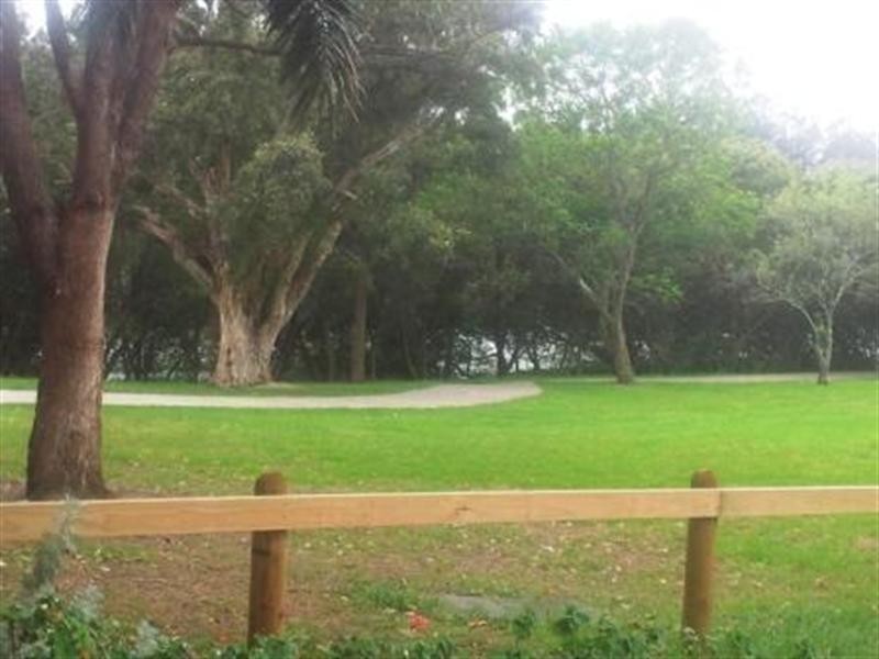 6 Thompson Street, Earlwood NSW 2206