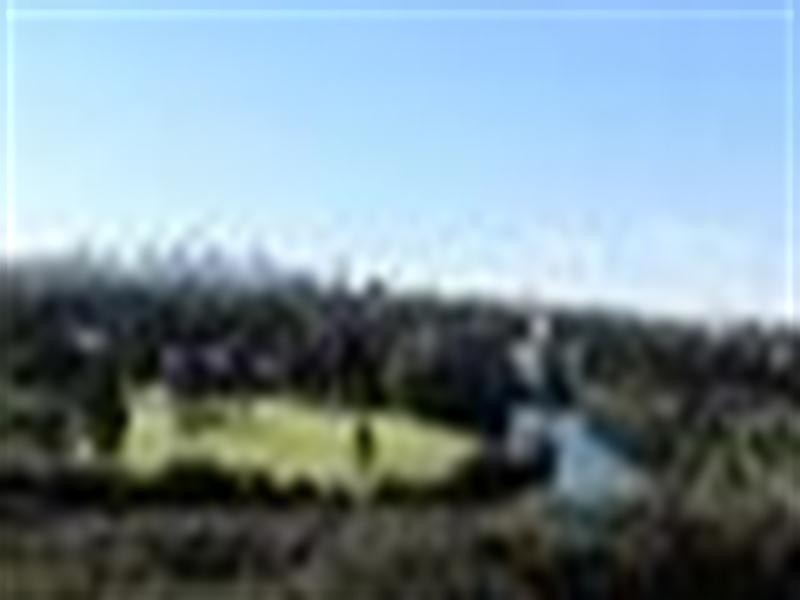 15-23 Lusty Street, Wolli Creek NSW 2205