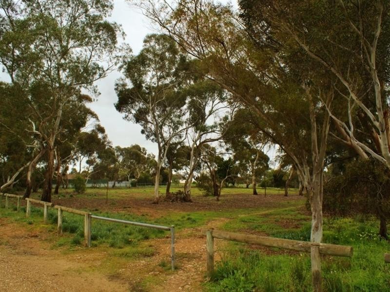 13 Raymond Road, Murray Bridge SA 5253