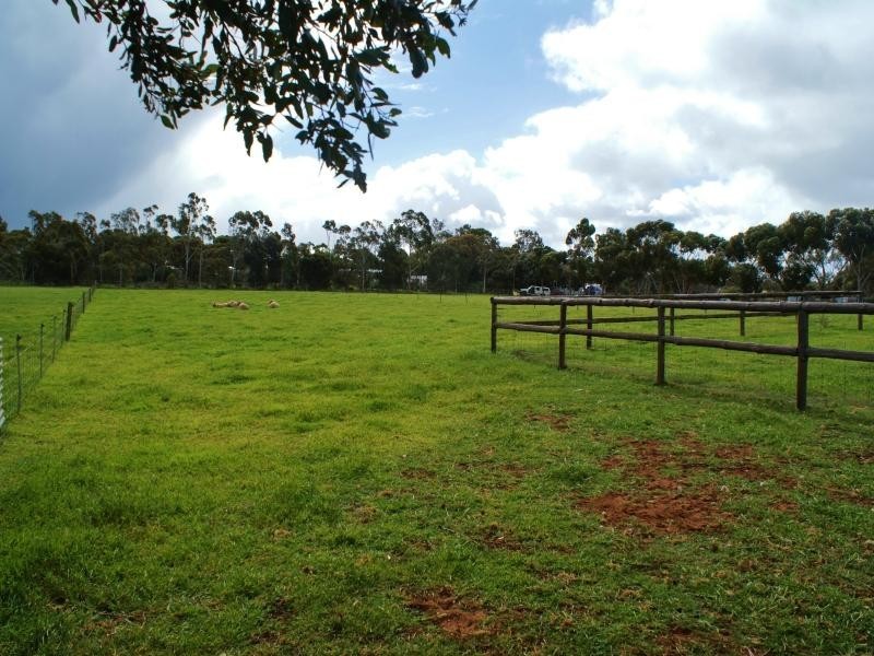 68 Thiele Road, Murray Bridge SA 5253