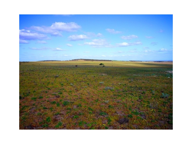 Lot 4 Hillsview Road, Monarto SA 5254