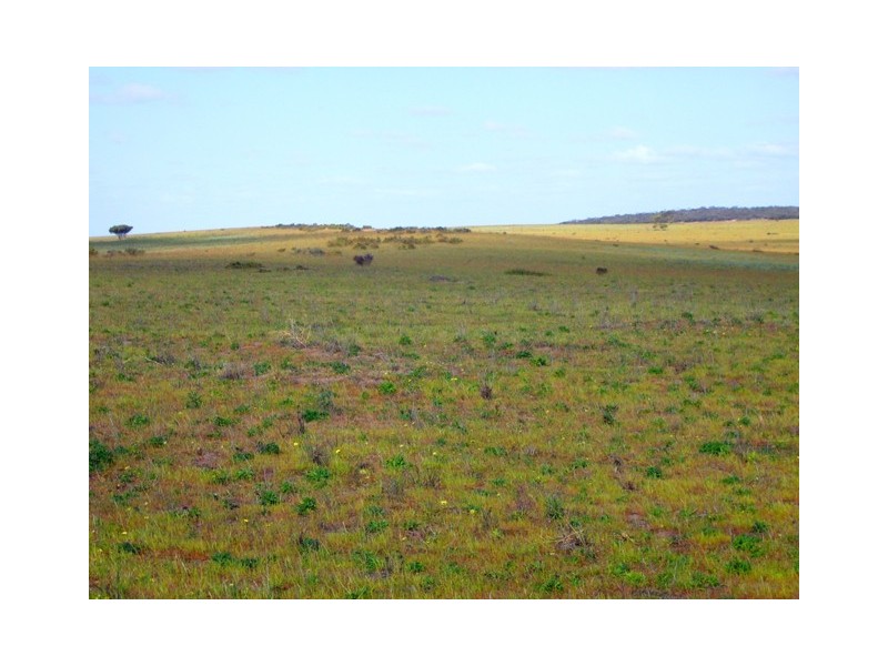 Lot 4 Hillsview Road, Monarto SA 5254