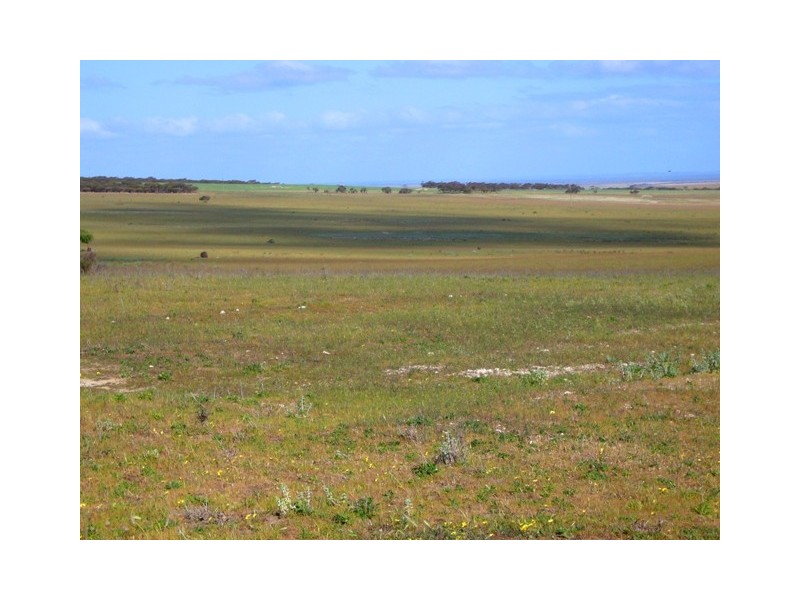 Lot 4 Hillsview Road, Monarto SA 5254