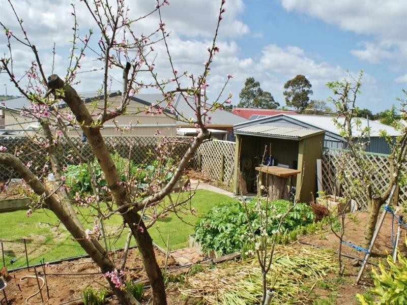 15 Knight Street, Murray Bridge SA 5253