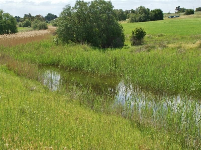 90 Hartmans Road, Palmer SA 5237