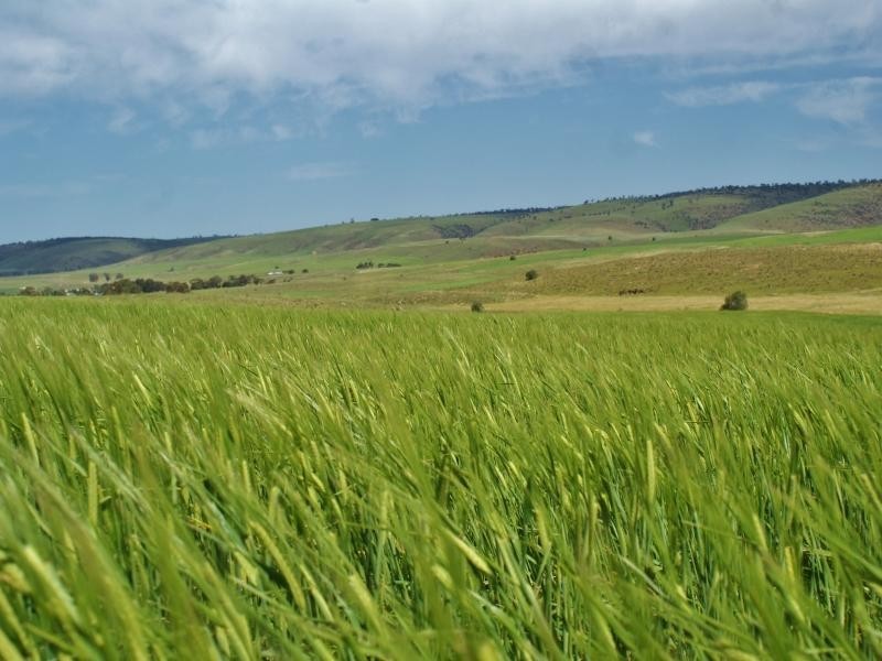 90 Hartmans Road, Palmer SA 5237