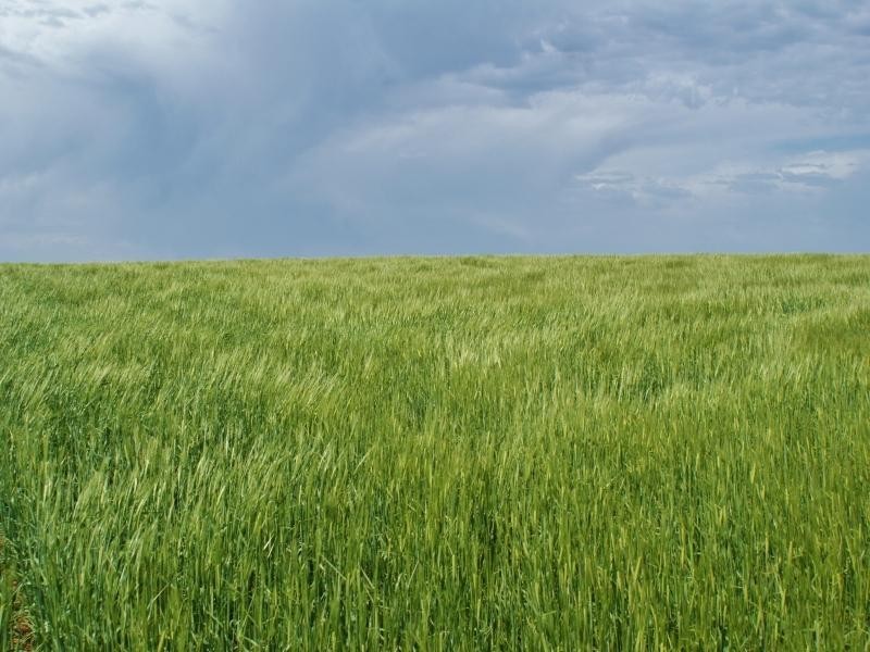 90 Hartmans Road, Palmer SA 5237