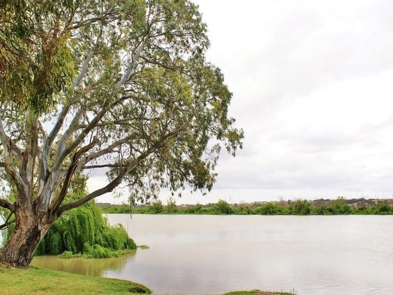 8 Hann Road, White Sands SA 5253