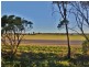 Lot 102 Park Way, Murray Bridge SA 5253