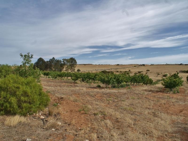 120 Kallina Drive, Mypolonga SA 5254