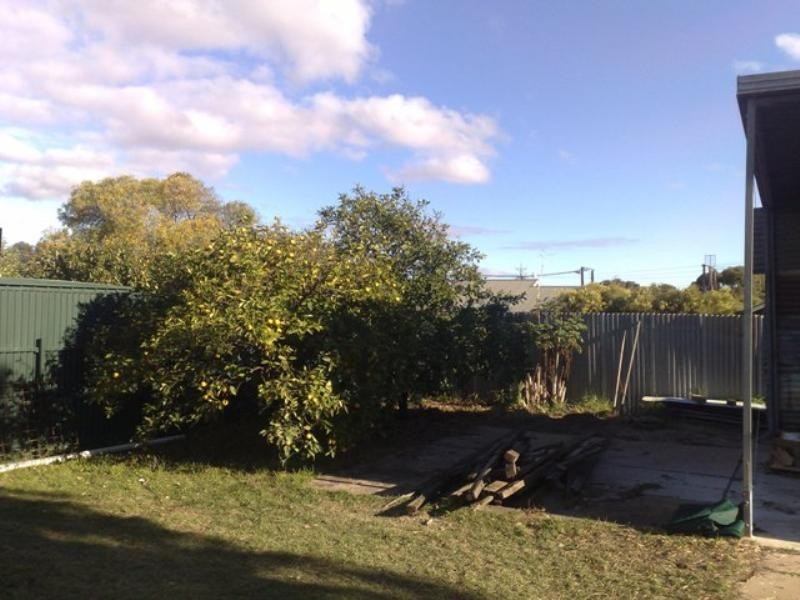 51 Myall Avenue, Murray Bridge SA 5253