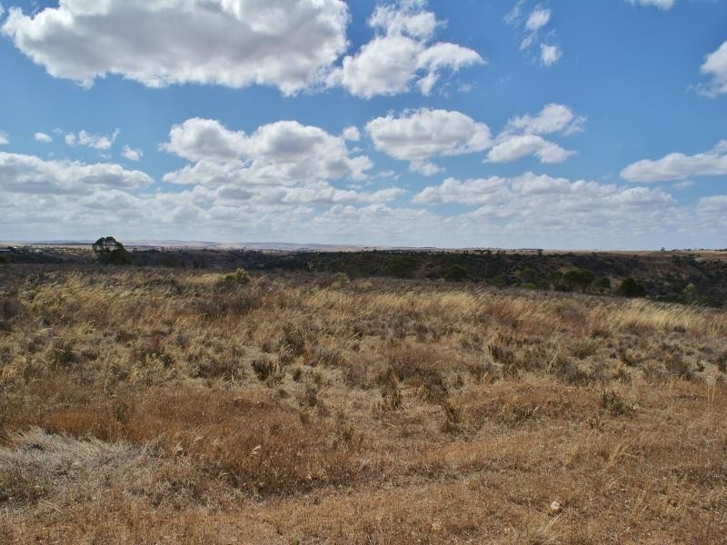 Lot 1 Myall Place, Mannum SA 5238