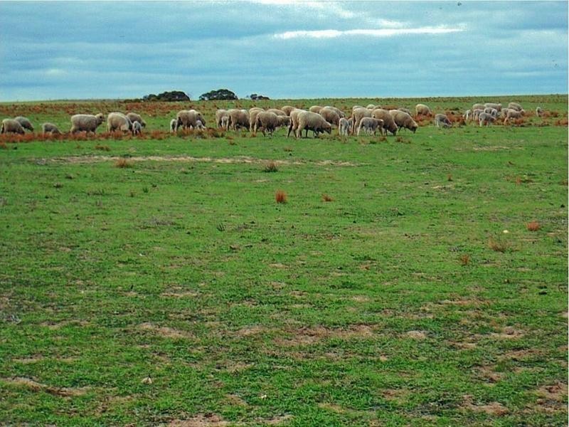 Lot 1 Bullers Road, Murray Bridge SA 5253