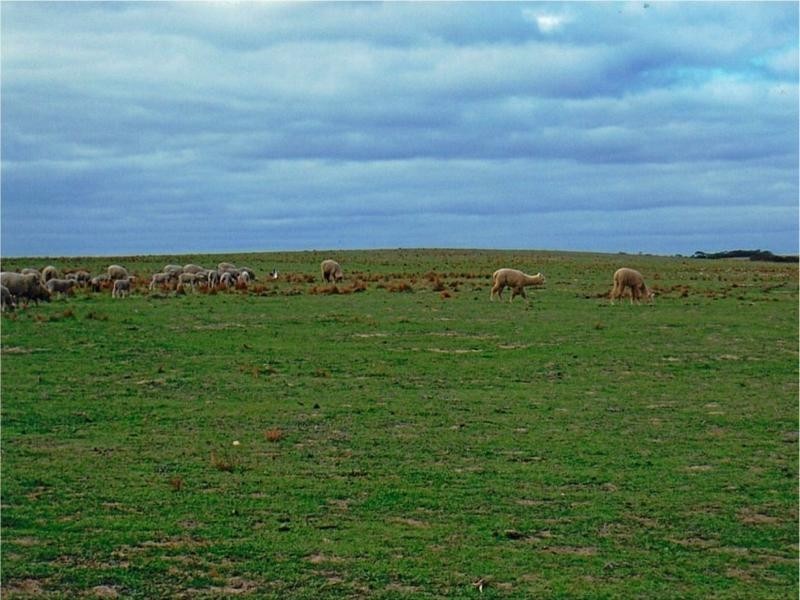 Lot 1 Bullers Road, Murray Bridge SA 5253