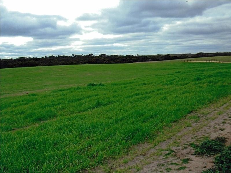 Lot 1 Bullers Road, Murray Bridge SA 5253