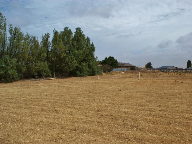 Lot 21 Semmler Street, Murray Bridge SA 5253