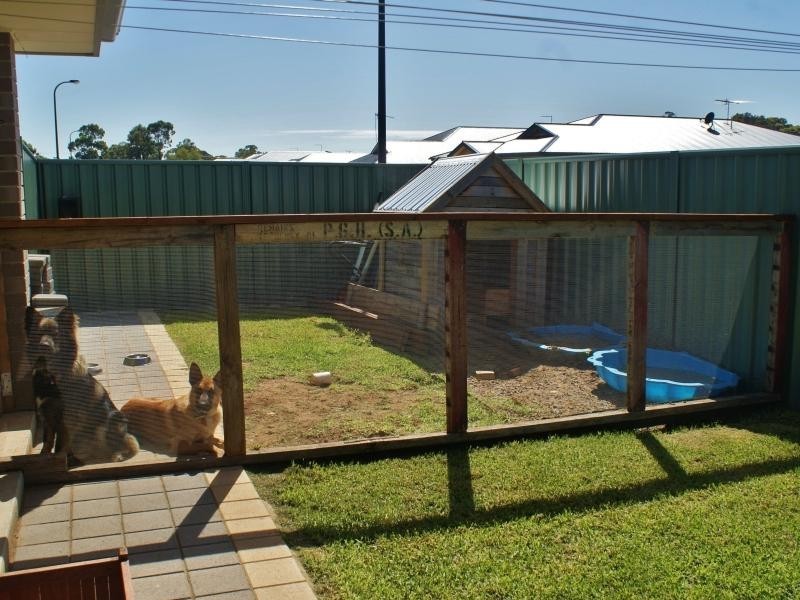 41 Pfitzner Close, Murray Bridge SA 5253