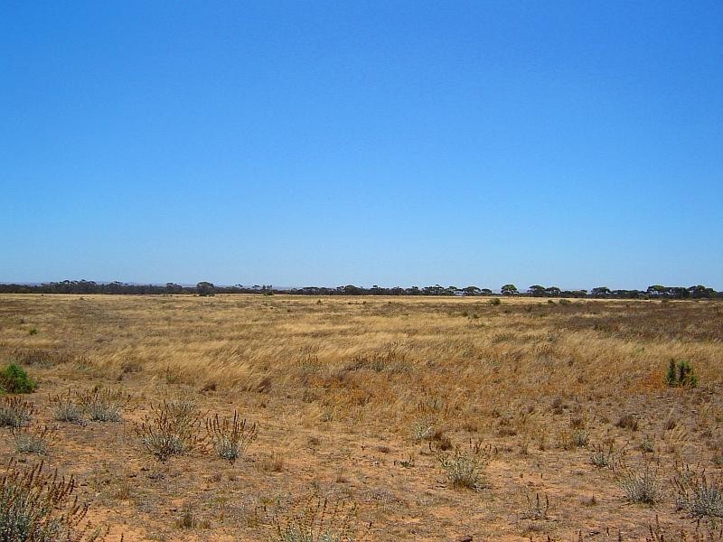 Sec 729 Lynch Lane, Mypolonga SA 5254